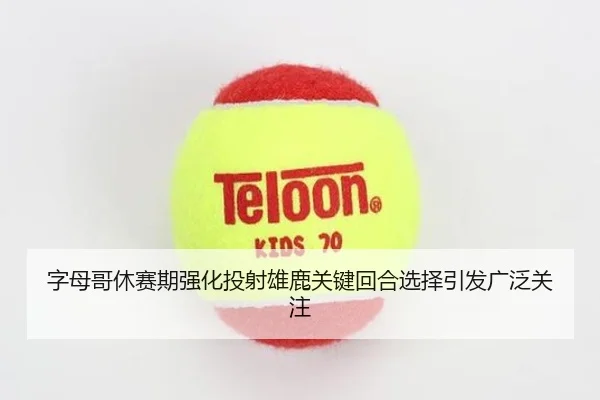 字母哥休赛期强化投射雄鹿关键回合选择引发广泛关注